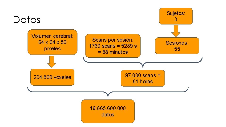 Sujetos: 3 Datos Volumen cerebral: 64 x 50 píxeles 204. 800 vóxeles Scans por