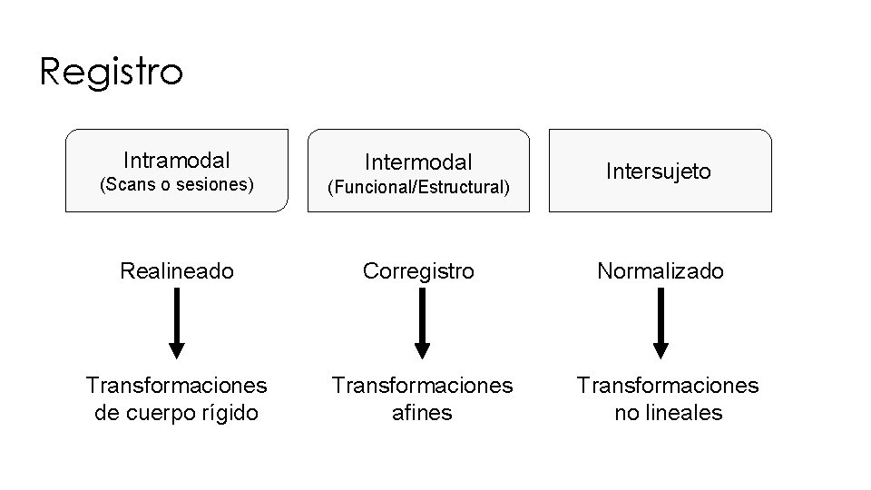 Registro Intramodal Intermodal (Scans o sesiones) (Funcional/Estructural) Realineado Corregistro Transformaciones de cuerpo rígido Transformaciones