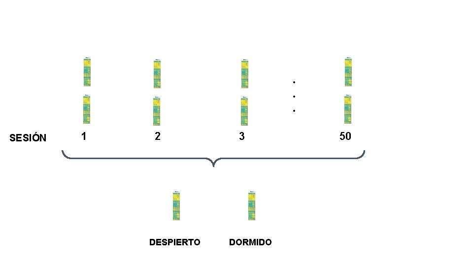 . . . SESIÓN 1 2 DESPIERTO 3 DORMIDO 50 