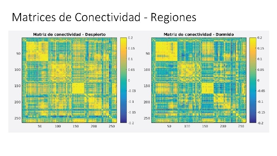 Matrices de Conectividad - Regiones 