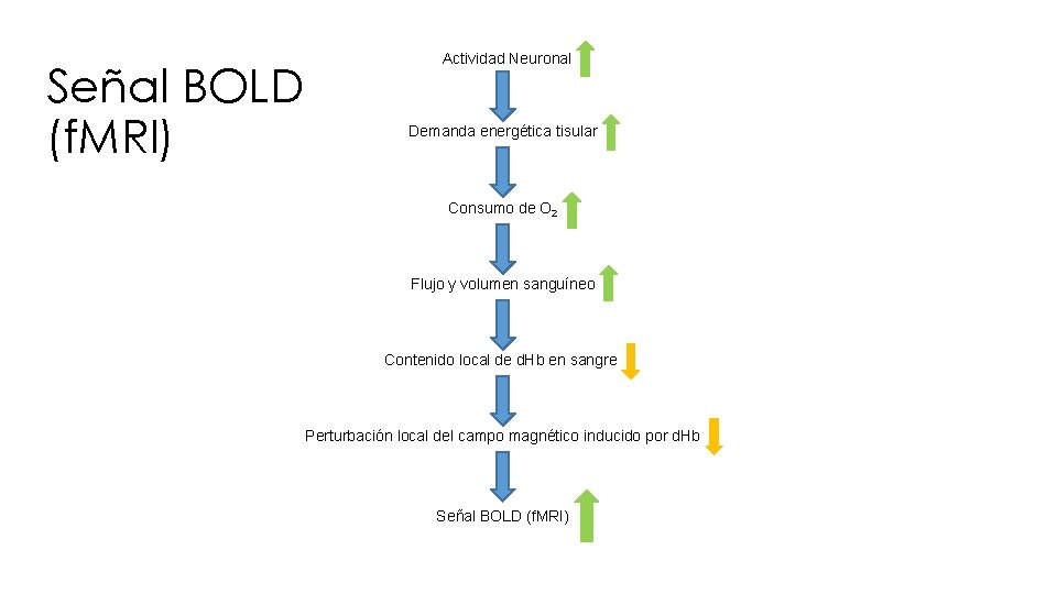 Señal BOLD (f. MRI) Actividad Neuronal Demanda energética tisular Consumo de O 2 Flujo