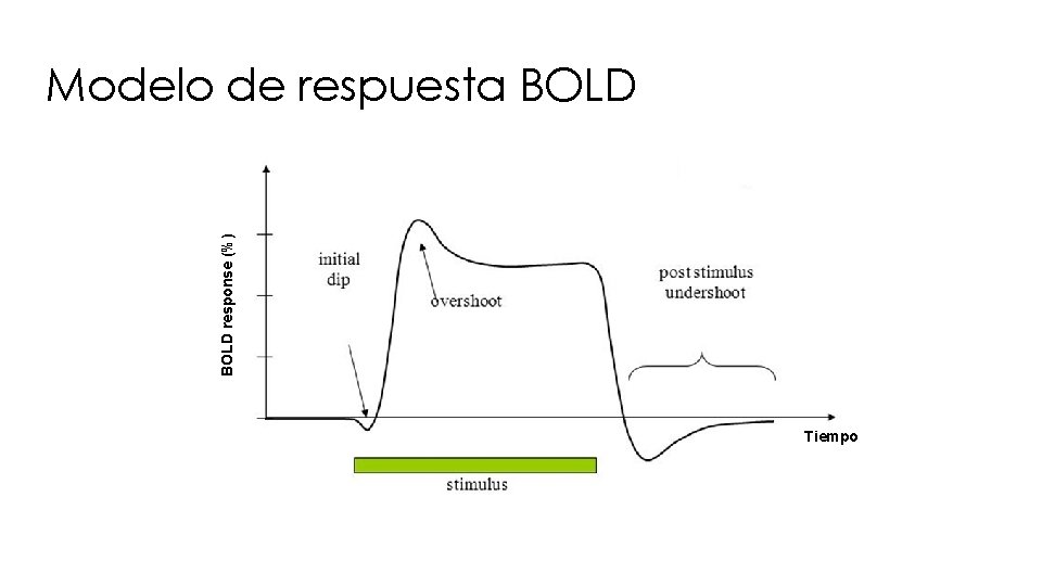 BOLD response (%) Modelo de respuesta BOLD Tiempo 