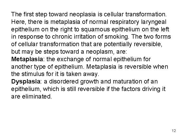 The first step toward neoplasia is cellular transformation. Here, there is metaplasia of normal