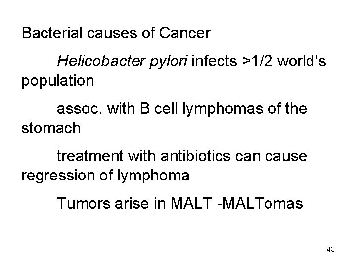 Bacterial causes of Cancer Helicobacter pylori infects >1/2 world’s population assoc. with B cell