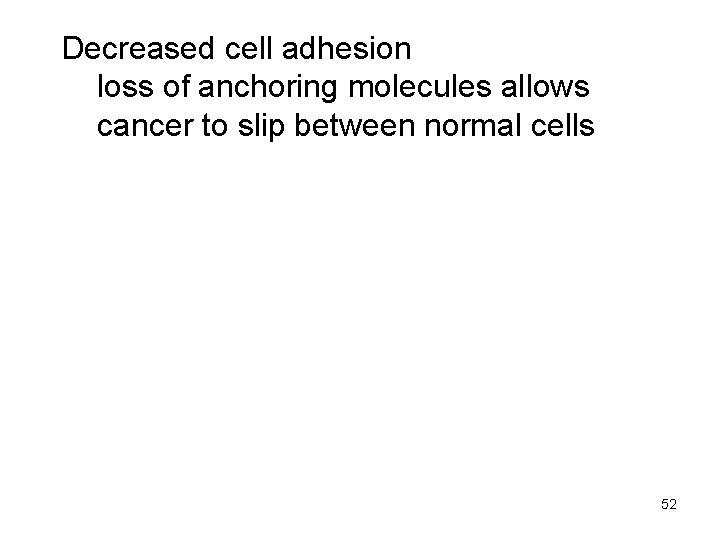 Decreased cell adhesion loss of anchoring molecules allows cancer to slip between normal cells