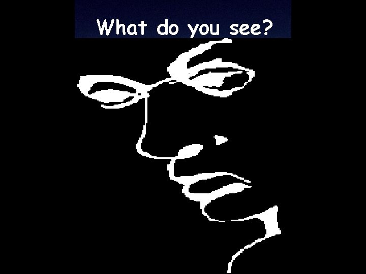 What do you see? 