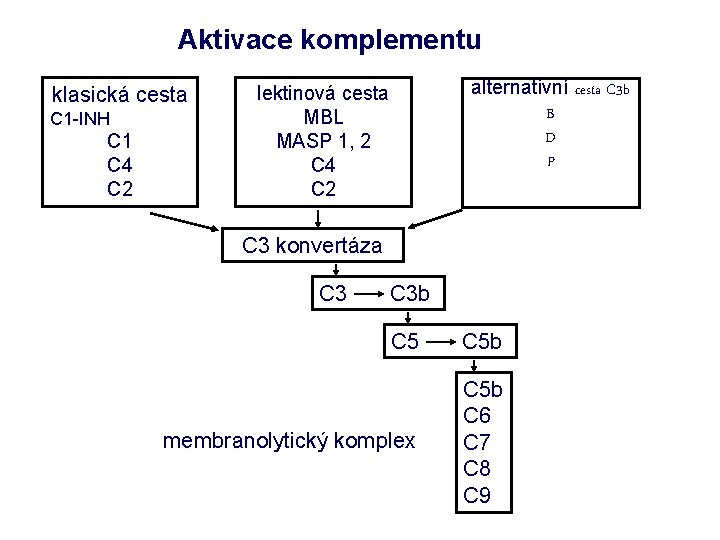 Aktivace komplementu klasická cesta C 1 -INH C 1 C 4 C 2 alternativní