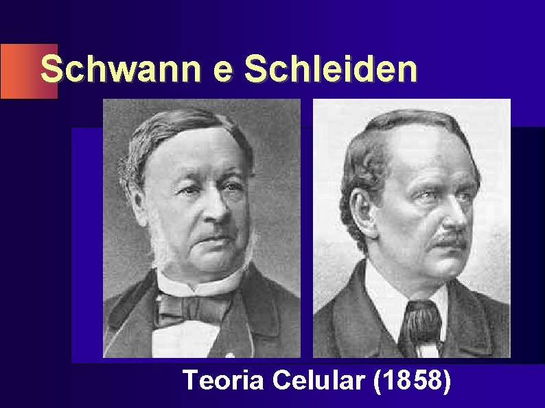 Schwann e Schleiden Teoria Celular (1858) 