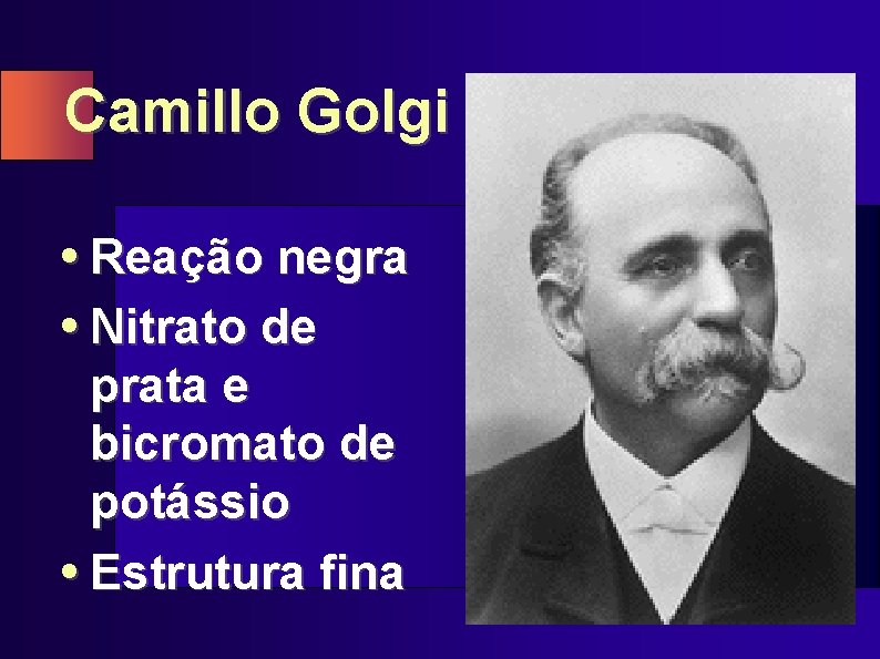 Camillo Golgi • Reação negra • Nitrato de prata e bicromato de potássio •