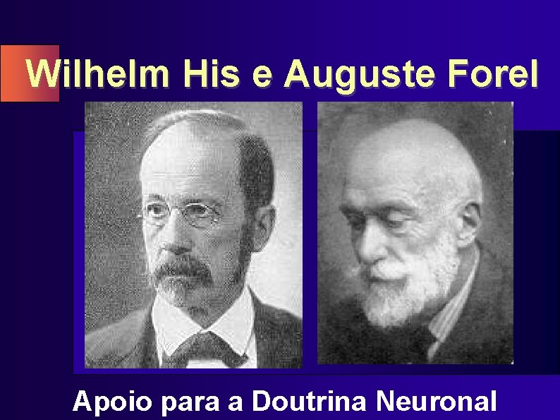Wilhelm His e Auguste Forel Apoio para a Doutrina Neuronal 