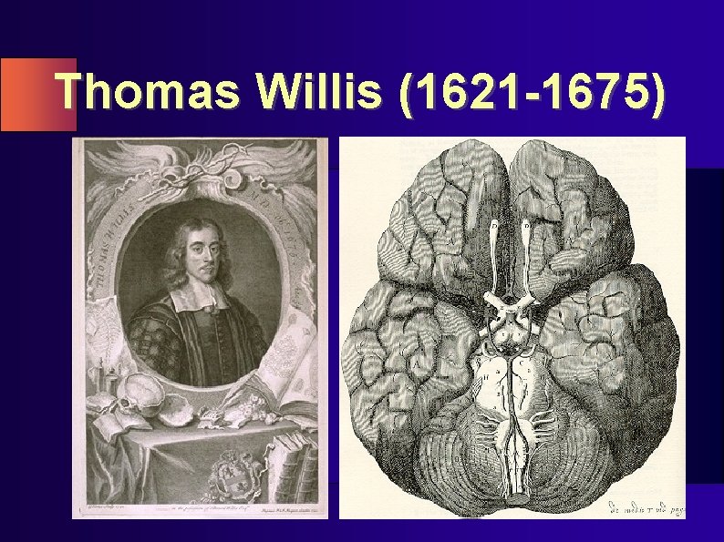 Thomas Willis (1621 -1675) 