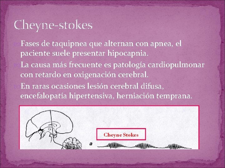 Cheyne-stokes Fases de taquipnea que alternan con apnea, el paciente suele presentar hipocapnia. La Cheyne-stokes Fases de taquipnea que alternan con apnea, el paciente suele presentar hipocapnia. La