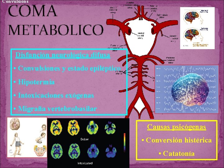 Convulsions COMA METABOLICO Disfunción neurológica difusa • Convulsiones y estado epiléptico • Hipotermia • Convulsions COMA METABOLICO Disfunción neurológica difusa • Convulsiones y estado epiléptico • Hipotermia •