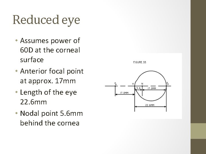 Reduced eye • Assumes power of 60 D at the corneal surface • Anterior