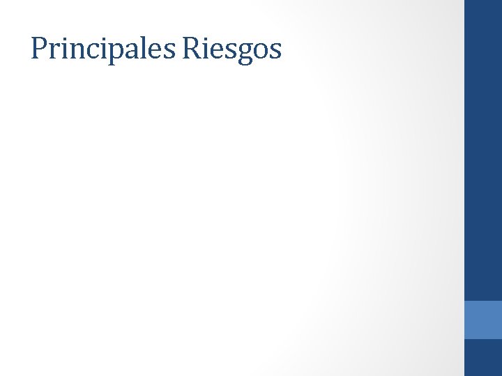 Principales Riesgos 