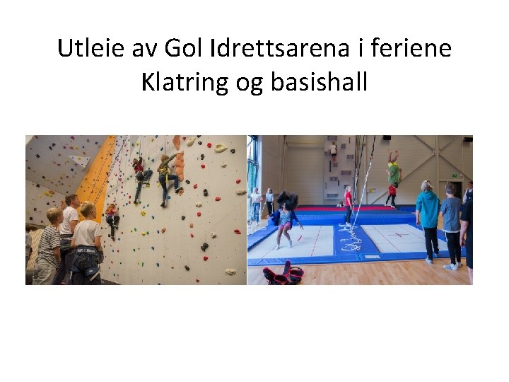 Utleie av Gol Idrettsarena i feriene Klatring og basishall 