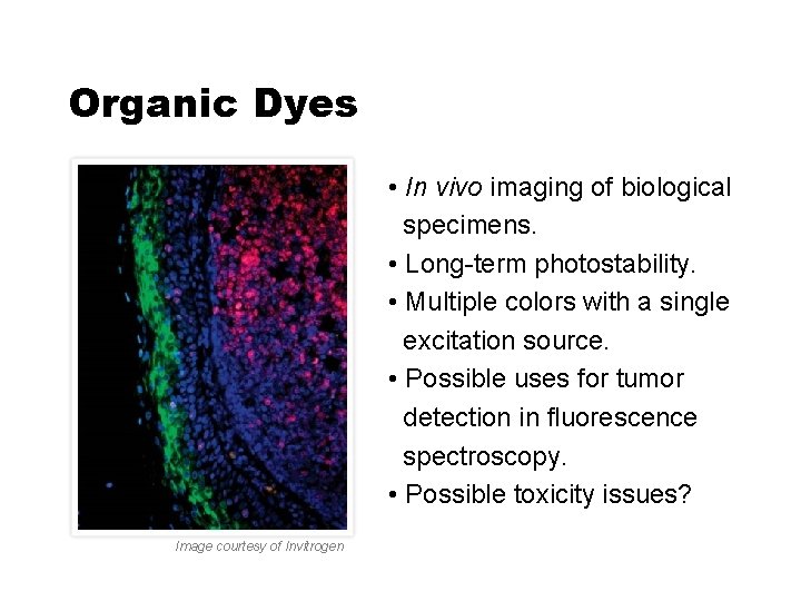 Organic Dyes • In vivo imaging of biological specimens. • Long-term photostability. • Multiple