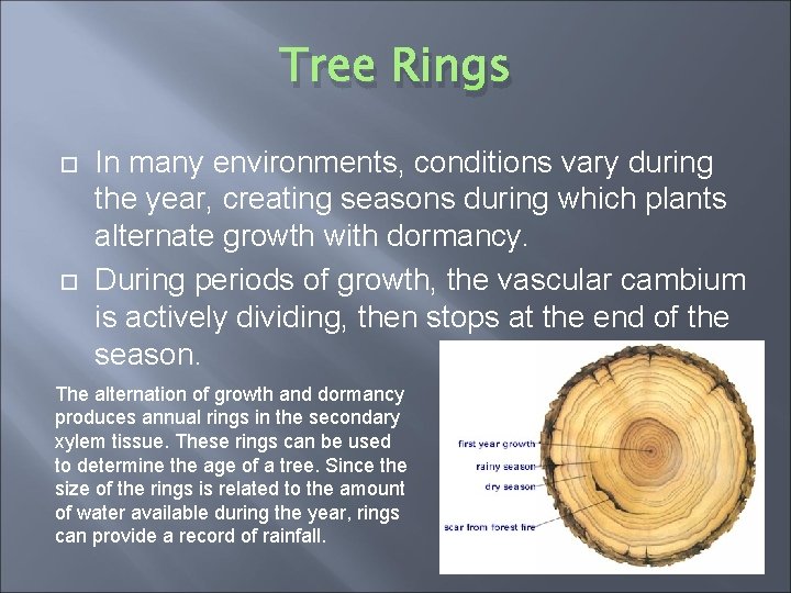Tree Rings In many environments, conditions vary during the year, creating seasons during which