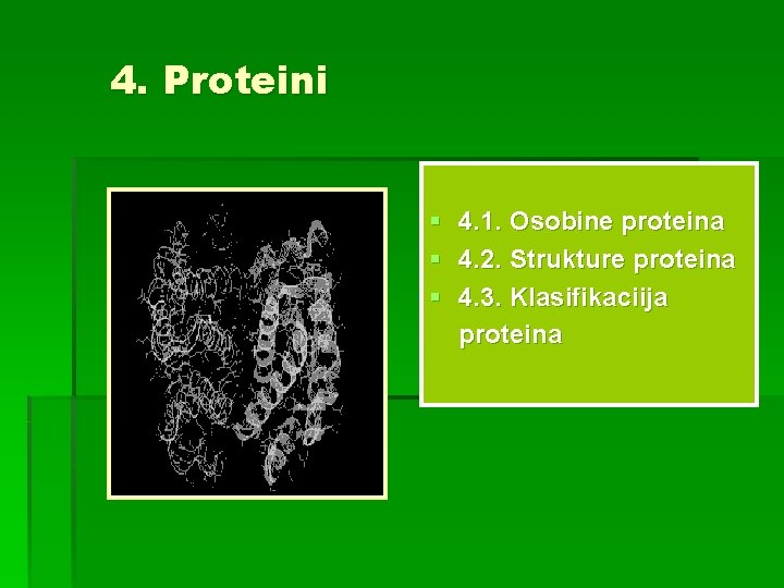 4. Proteini § § § 4. 1. Osobine proteina 4. 2. Strukture proteina 4.