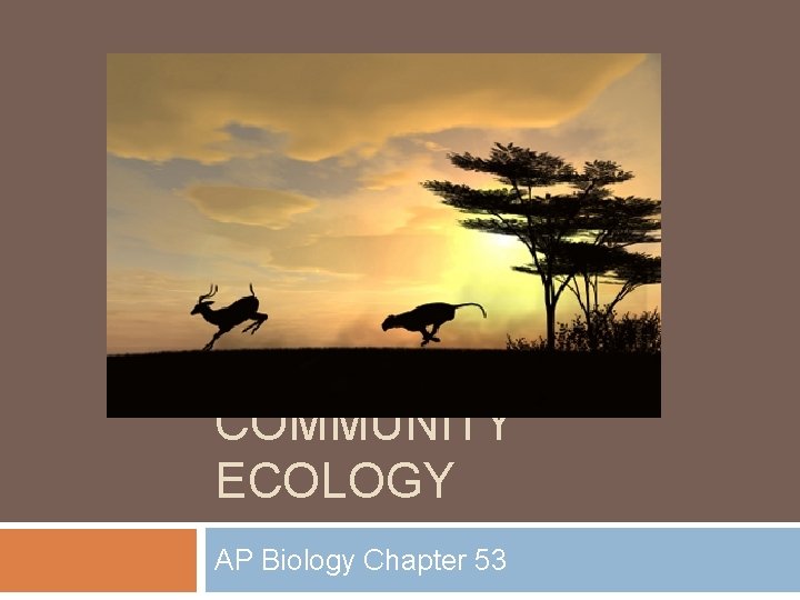 COMMUNITY ECOLOGY AP Biology Chapter 53 