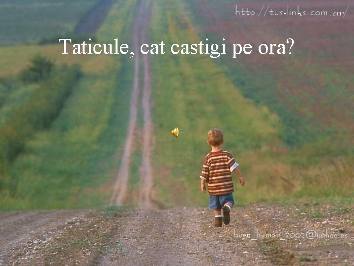 Taticule, cat castigi pe ora? 