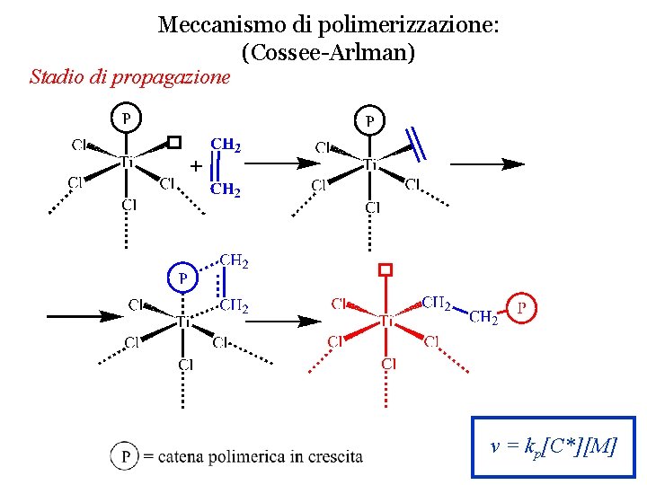Meccanismo di polimerizzazione: (Cossee-Arlman) Stadio di propagazione v = kp[C*][M] 
