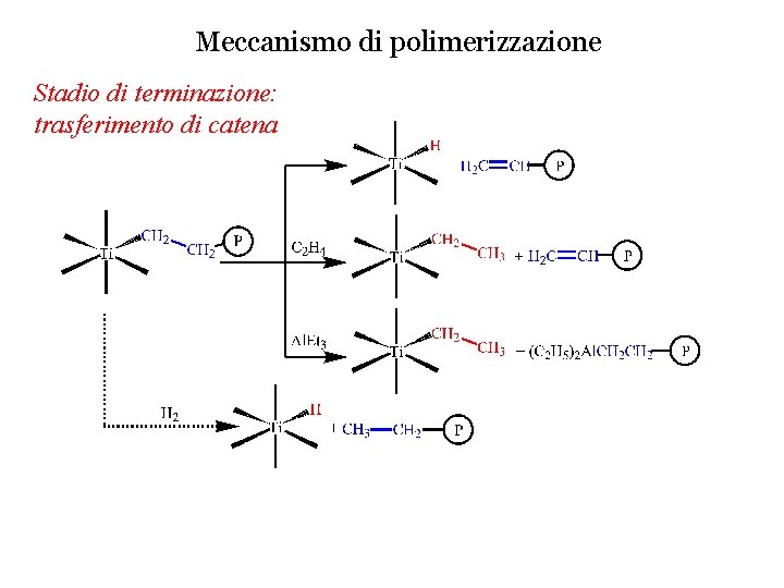 Meccanismo di polimerizzazione Stadio di terminazione: trasferimento di catena 