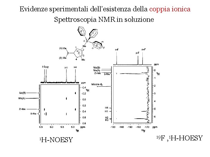 Evidenze sperimentali dell’esistenza della coppia ionica Spettroscopia NMR in soluzione 1 H-NOESY 19 F
