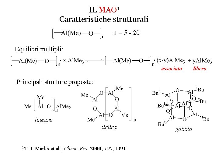 IL MAO 1 Caratteristiche strutturali n = 5 - 20 Equilibri multipli: Principali strutture