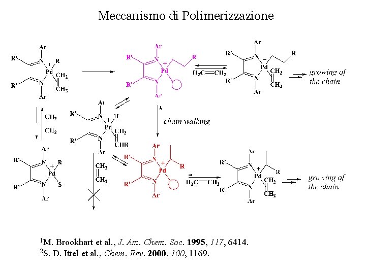 Meccanismo di Polimerizzazione 1 M. Brookhart et al. , J. Am. Chem. Soc. 1995,