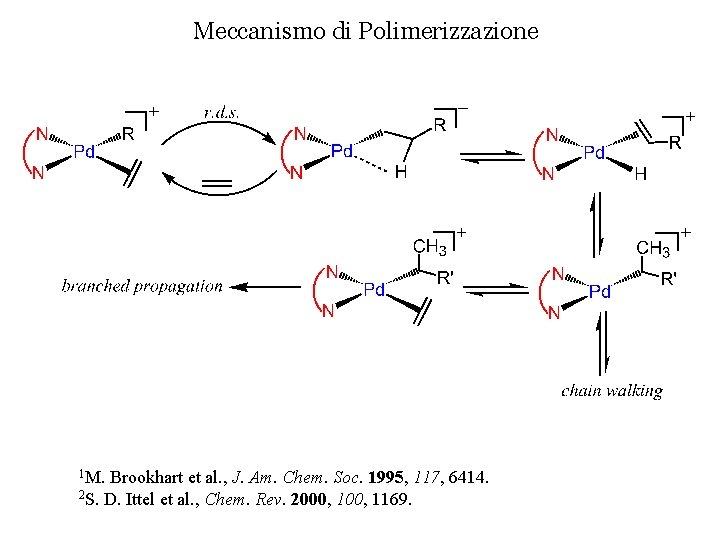 Meccanismo di Polimerizzazione 1 M. Brookhart et al. , J. Am. Chem. Soc. 1995,