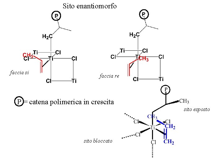 Sito enantiomorfo faccia si faccia re P = catena polimerica in crescita sito esposto