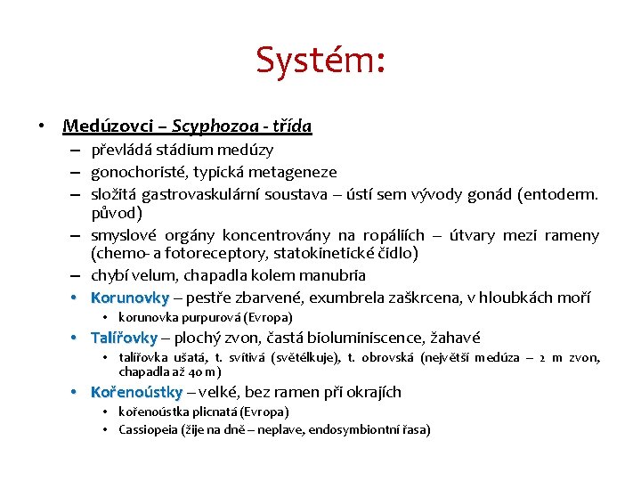 Systém: • Medúzovci – Scyphozoa - třída – převládá stádium medúzy – gonochoristé, typická