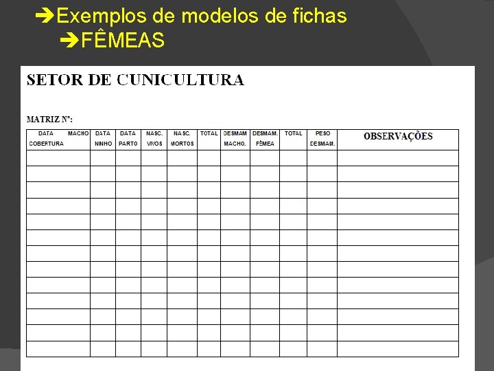  Exemplos de modelos de fichas FÊMEAS 