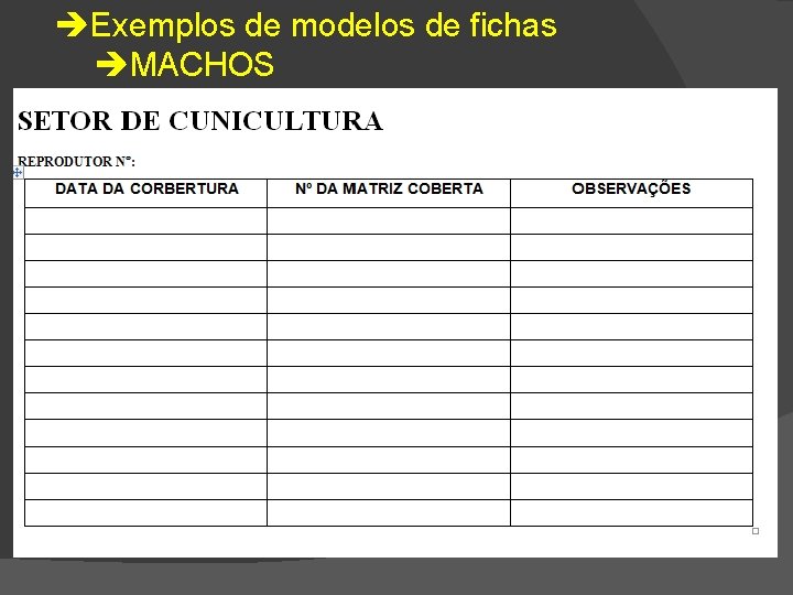  Exemplos de modelos de fichas MACHOS 