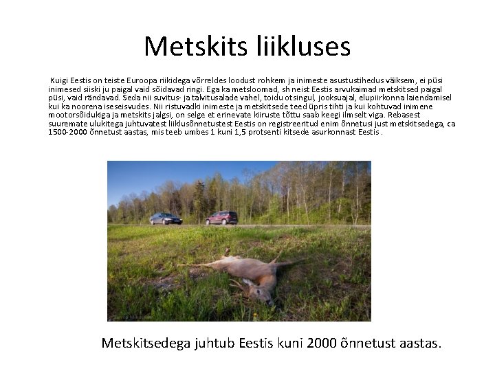 Metskits liikluses Kuigi Eestis on teiste Euroopa riikidega võrreldes loodust rohkem ja inimeste asustustihedus