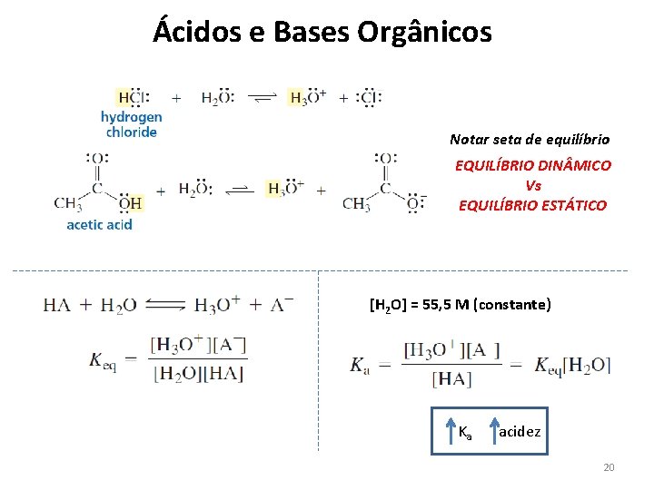 Ácidos e Bases Orgânicos Notar seta de equilíbrio EQUILÍBRIO DIN MICO Vs EQUILÍBRIO ESTÁTICO