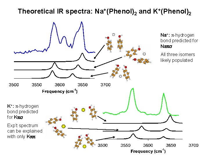 Theoretical IR spectra: Na+(Phenol)2 and K+(Phenol)2 Na+: p-hydrogen bond predicted for Naps All three