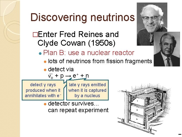 Discovering neutrinos �Enter Fred Reines and Clyde Cowan (1950 s) ● Plan B: use