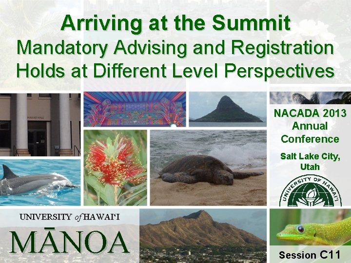 Arriving at the Summit Mandatory Advising and Registration Holds at Different Level Perspectives NACADA