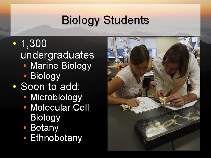 Biology Students • 1, 300 undergraduates • Marine Biology • Biology • Soon to