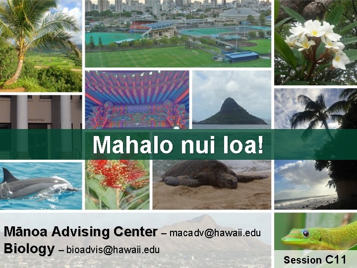 Mahalo nui loa! Mānoa Advising Center – macadv@hawaii. edu Biology – bioadvis@hawaii. edu Session