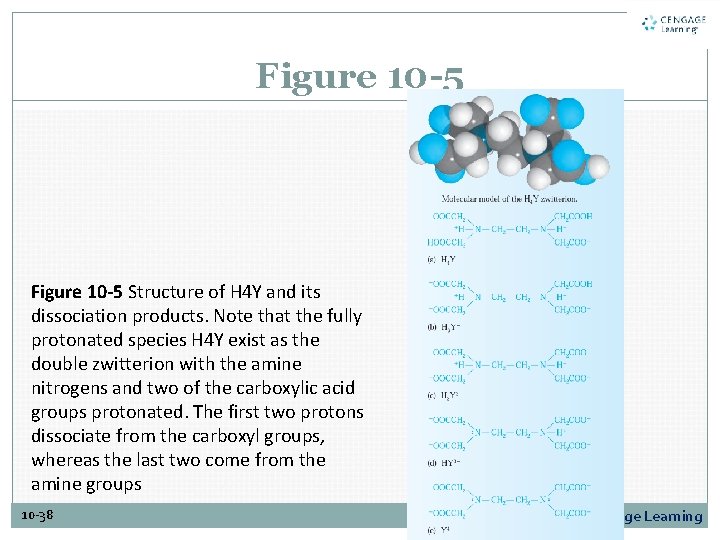 Figure 10 -5 Structure of H 4 Y and its dissociation products. Note that