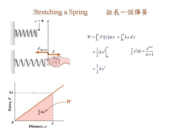 Stretching a Spring 拉長一個彈簧 