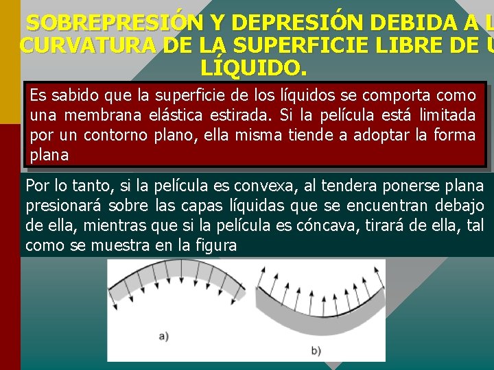 SOBREPRESIÓN Y DEPRESIÓN DEBIDA A L CURVATURA DE LA SUPERFICIE LIBRE DE U LÍQUIDO.