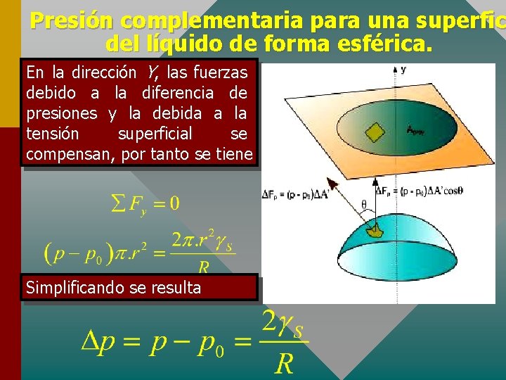 Presión complementaria para una superfic del líquido de forma esférica. En la dirección Y,