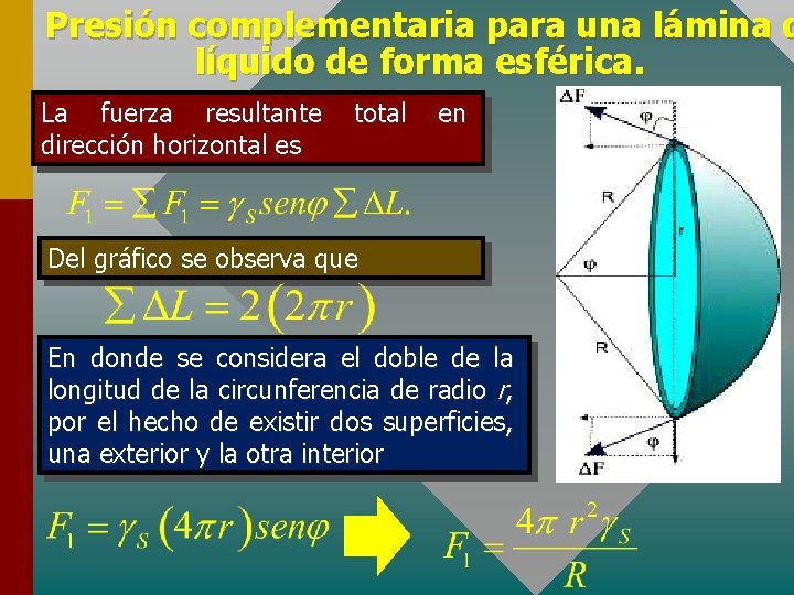 Presión complementaria para una lámina d líquido de forma esférica. La fuerza resultante total