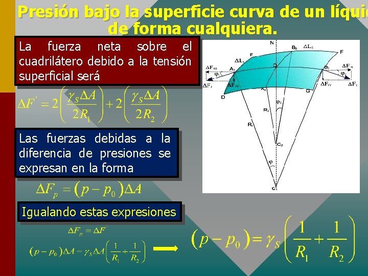 Presión bajo la superficie curva de un líquid de forma cualquiera. La fuerza neta