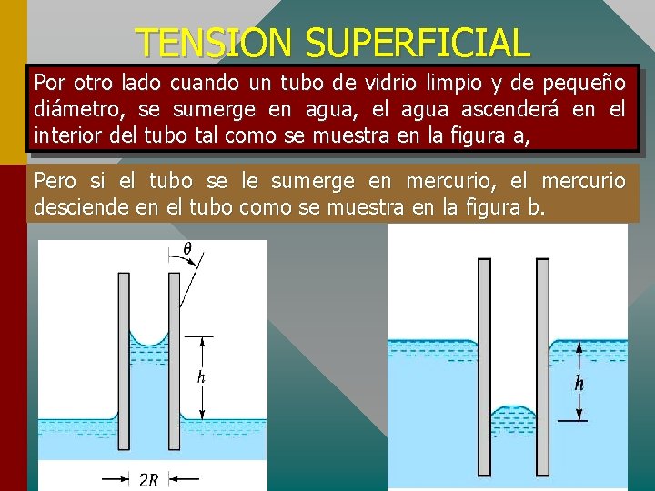 TENSION SUPERFICIAL Por otro lado cuando un tubo de vidrio limpio y de pequeño