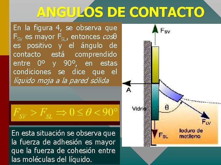 ANGULOS DE CONTACTO En la figura 4, se observa que FSV es mayor FSL,